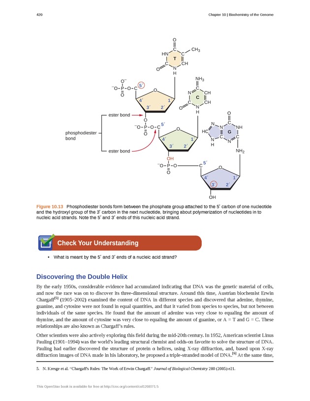 Microbiology - Front Matter 430