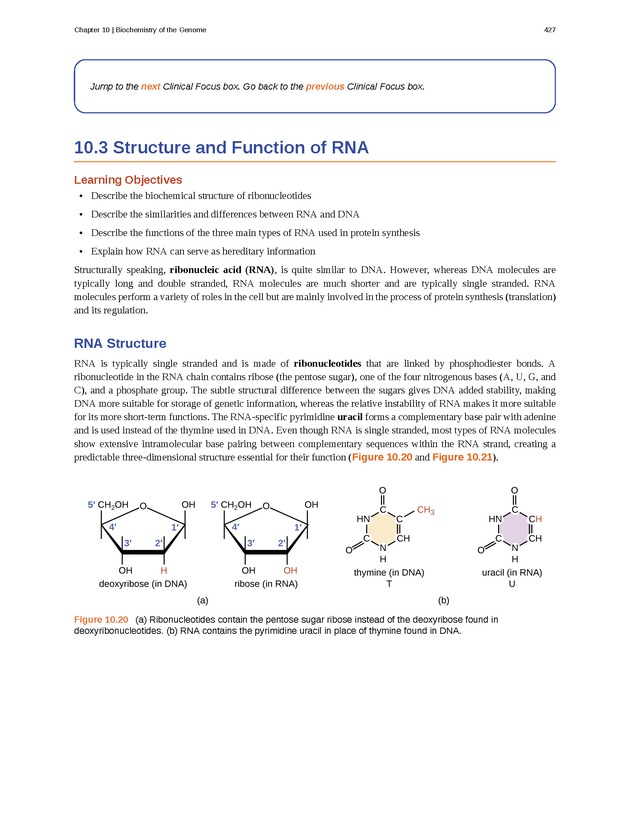 Microbiology - Front Matter 437