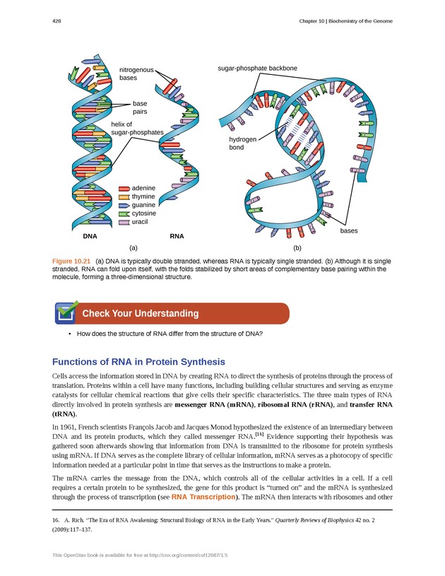Microbiology - Front Matter 438