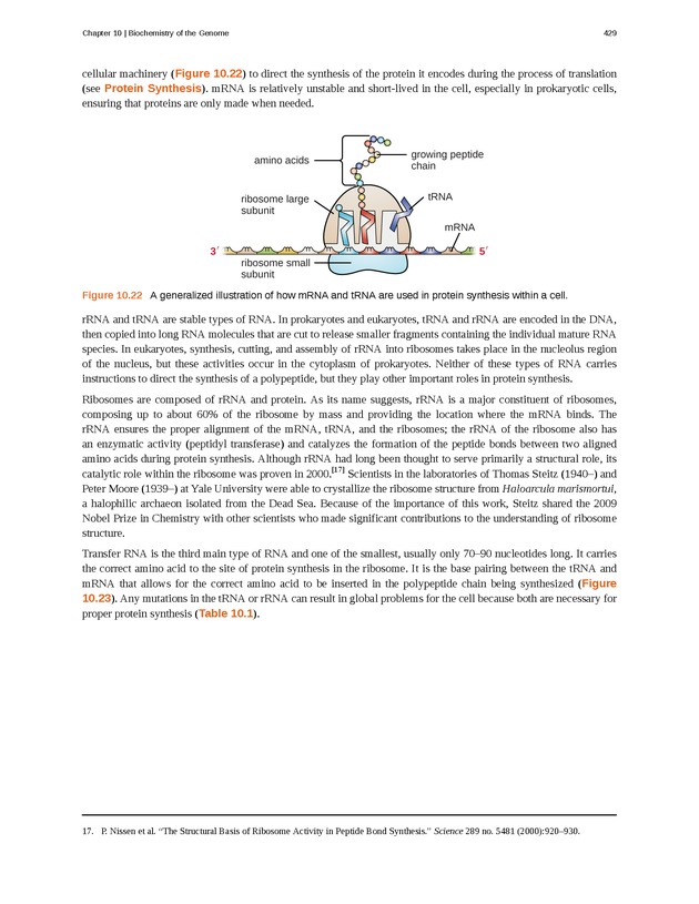 Microbiology - Front Matter 439