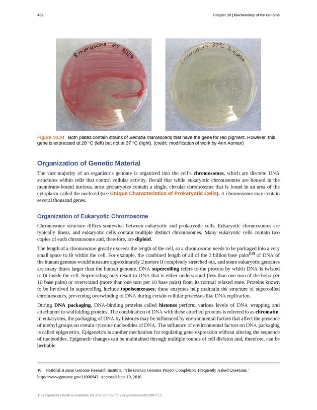 Microbiology - Front Matter 442