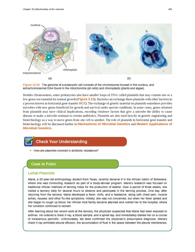Microbiology - Front Matter 445