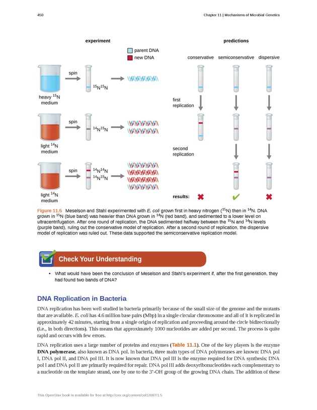 Microbiology - Front Matter 460