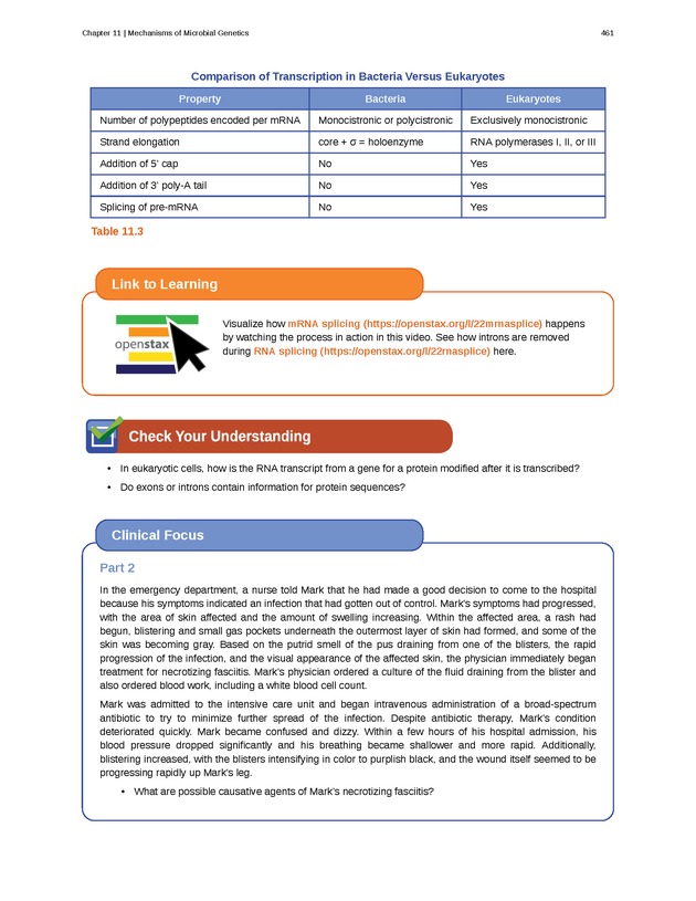 Microbiology - Front Matter 471