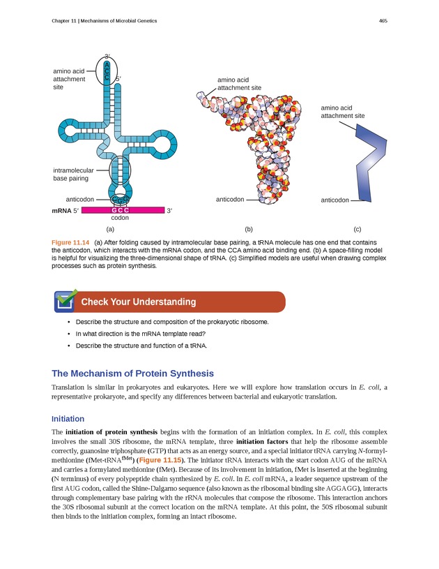 Microbiology - Front Matter 475