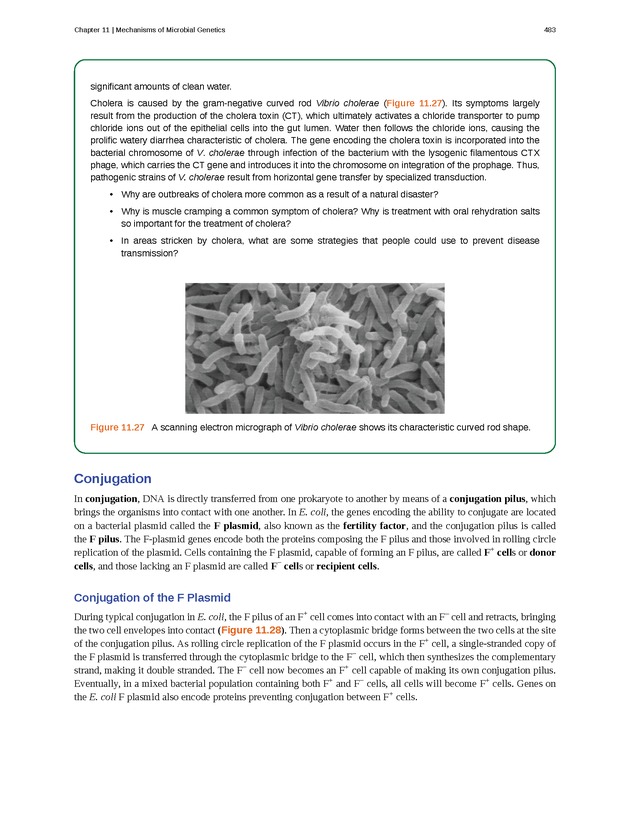 Microbiology - Front Matter 493