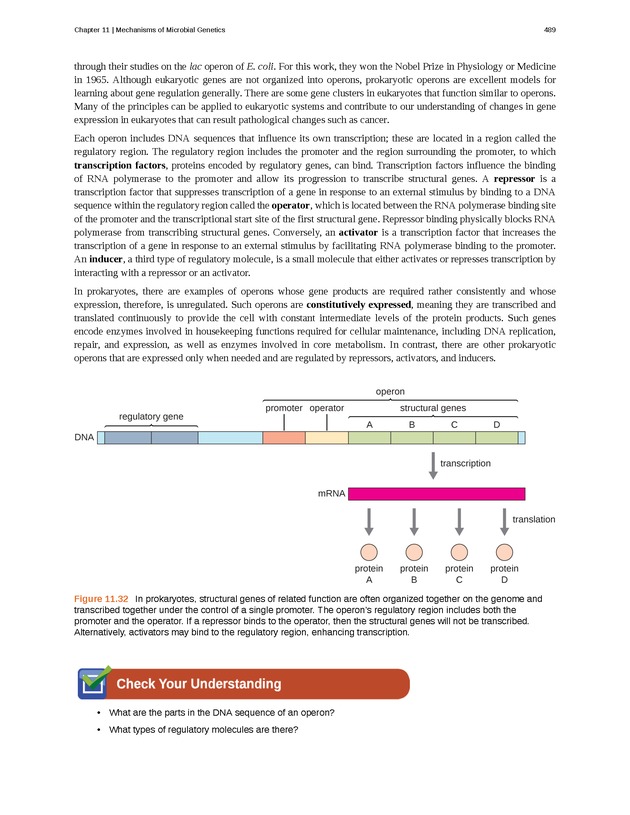 Microbiology - Front Matter 499