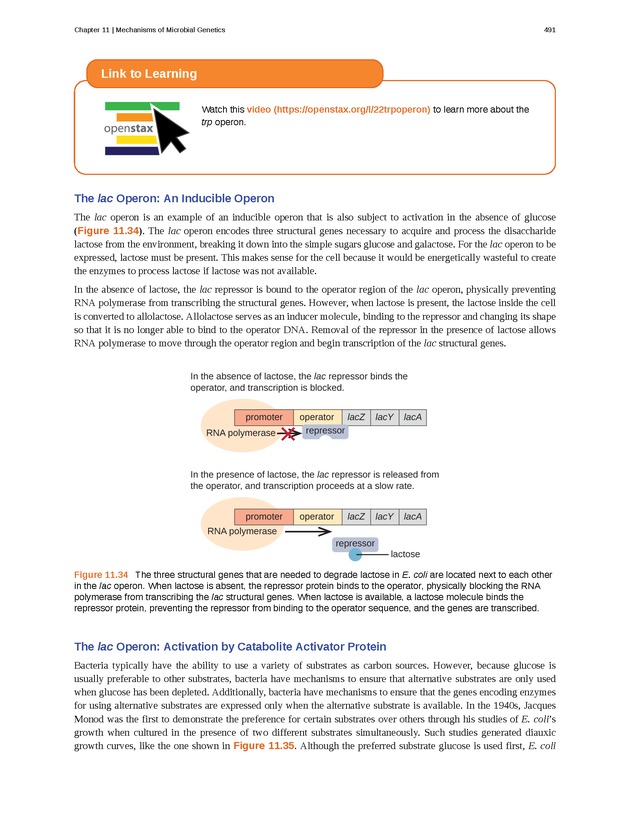 Microbiology - Front Matter 501