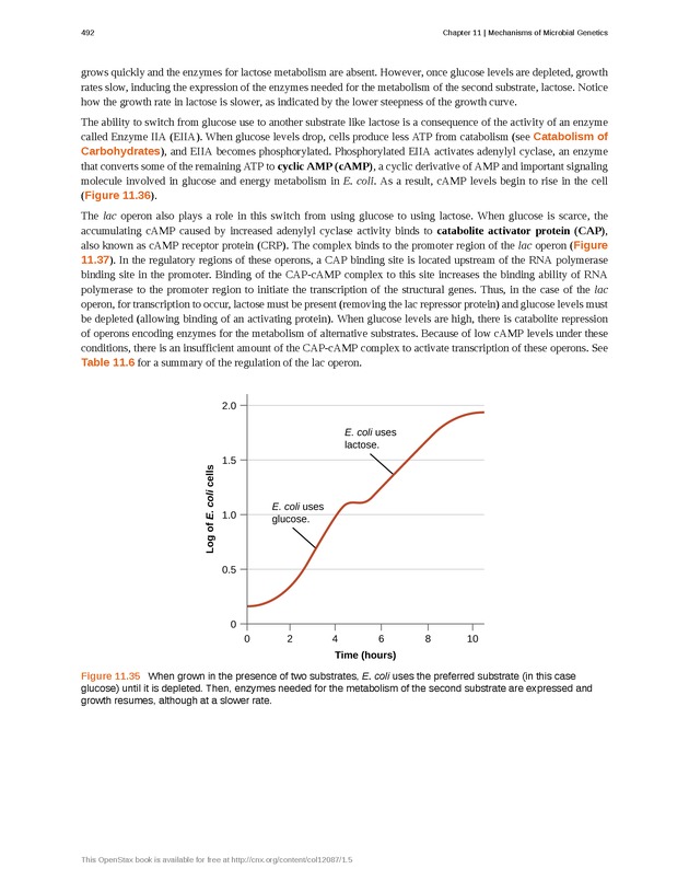 Microbiology - Front Matter 502