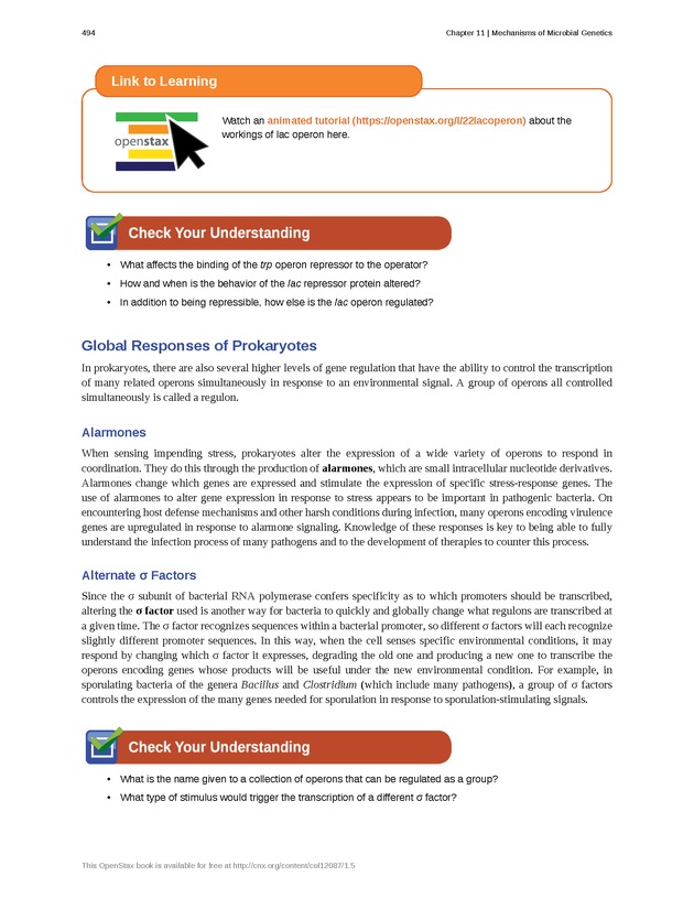 Microbiology - Front Matter 504
