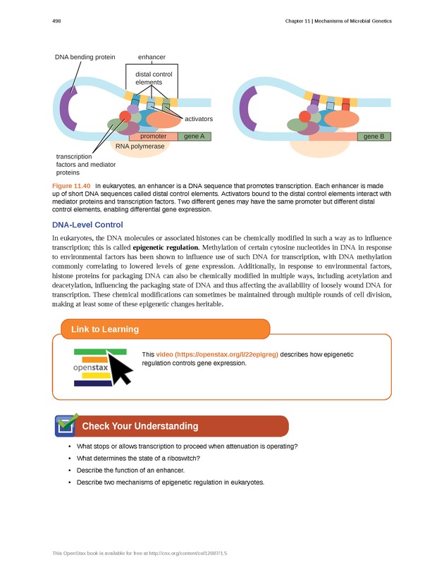 Microbiology - Front Matter 508
