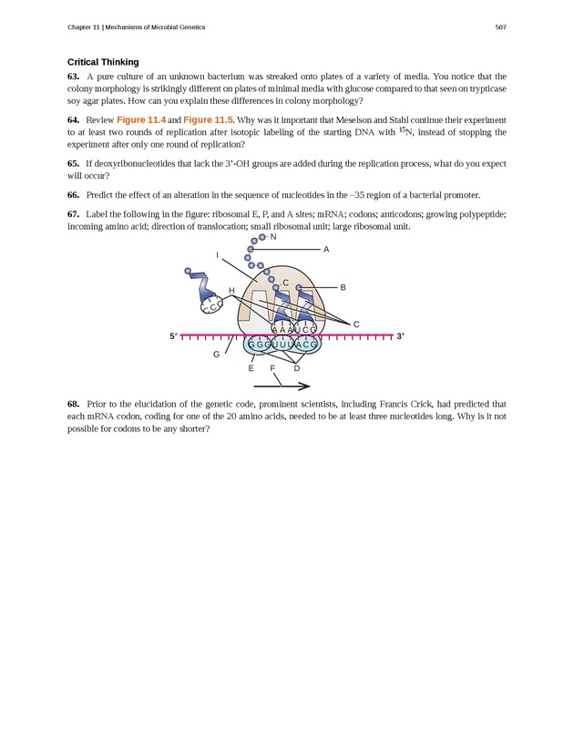 Microbiology - Front Matter 517