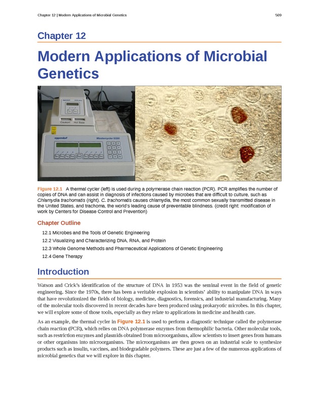 Microbiology - Front Matter 519