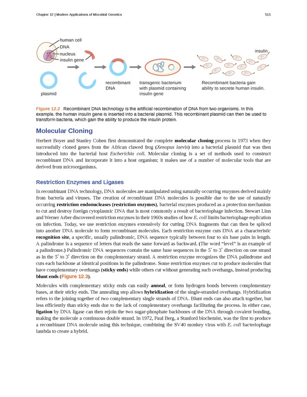 Microbiology - Front Matter 521
