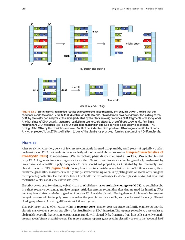 Microbiology - Front Matter 522