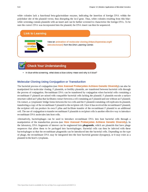 Microbiology - Front Matter 524