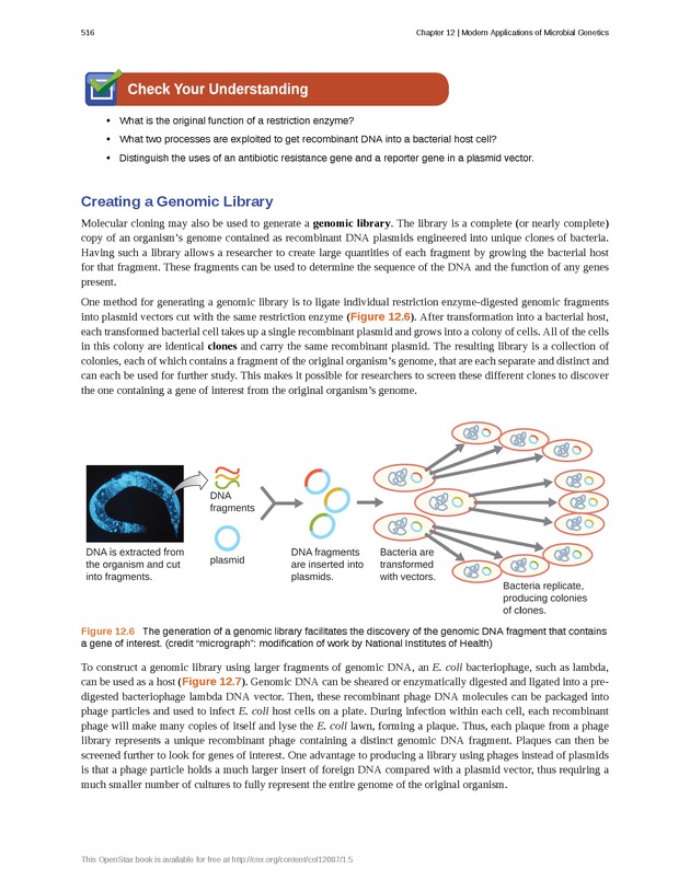 Microbiology - Front Matter 526