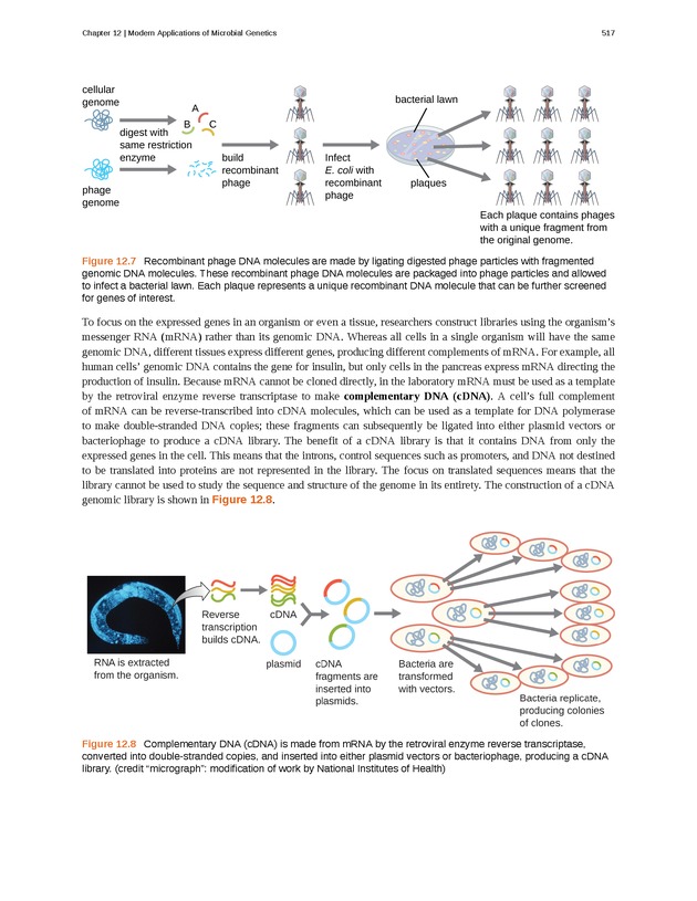 Microbiology - Front Matter 527