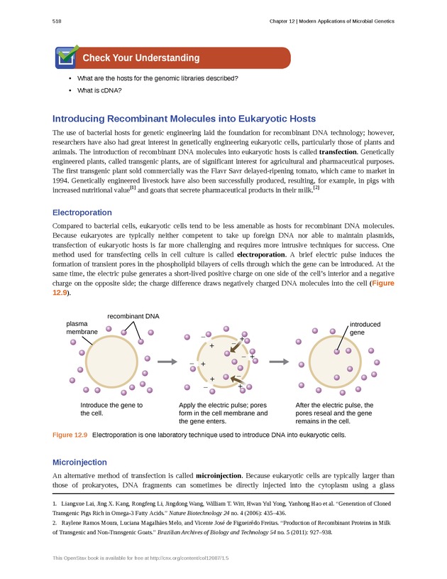 Microbiology - Front Matter 528