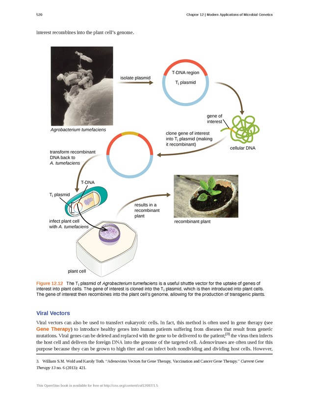 Microbiology - Front Matter 530