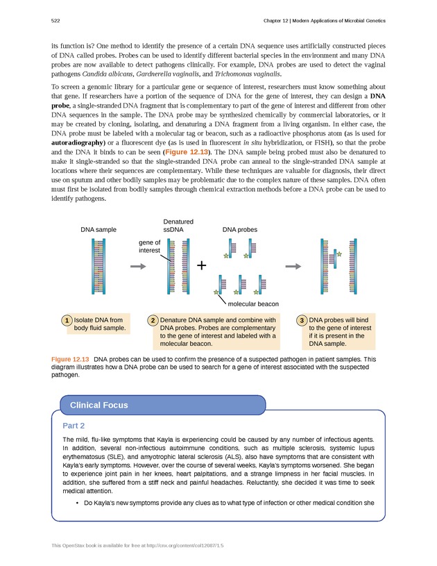 Microbiology - Front Matter 532