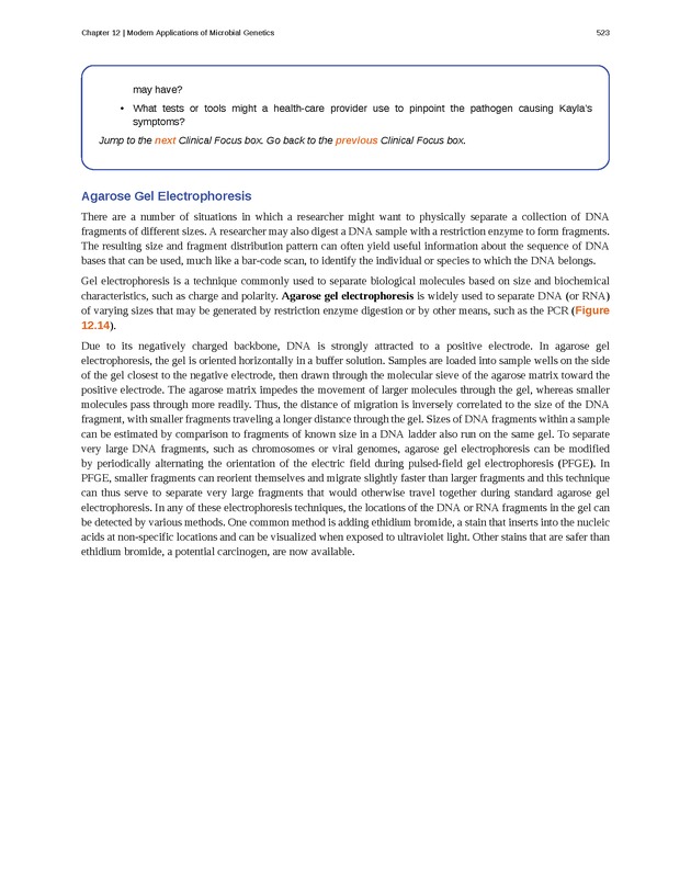 Microbiology - Front Matter 533