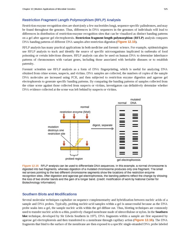 Microbiology - Front Matter 535