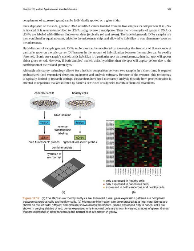 Microbiology - Front Matter 537