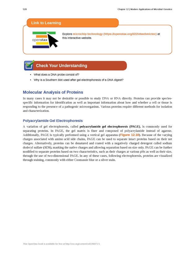 Microbiology - Front Matter 538