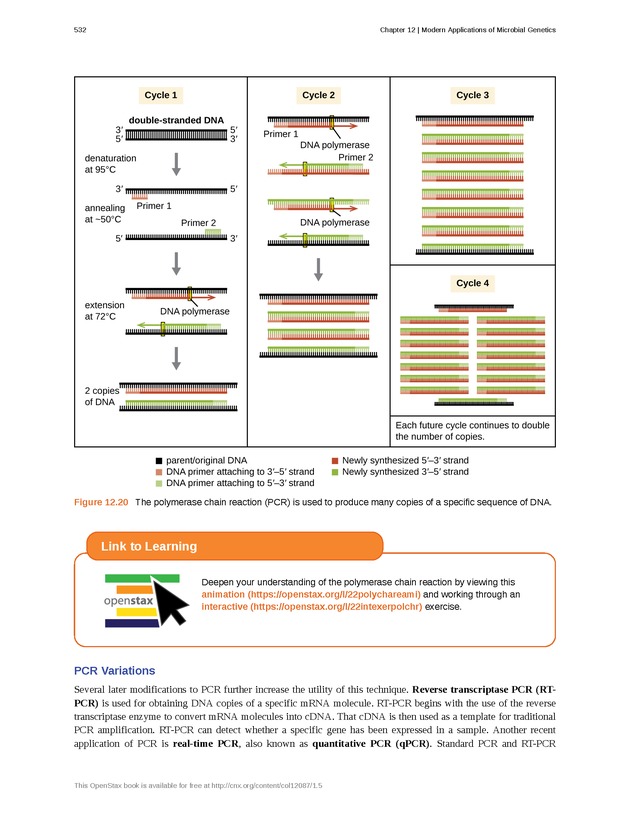 Microbiology - Front Matter 542