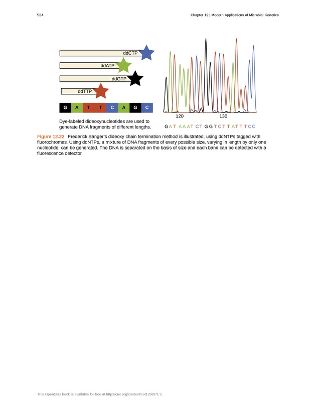 Microbiology - Front Matter 544