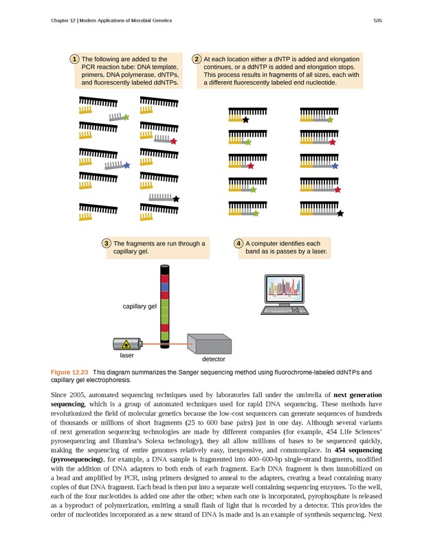 Microbiology - Front Matter 545