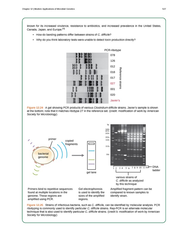 Microbiology - Front Matter 547