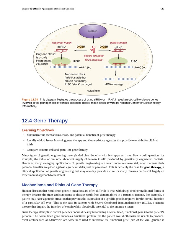 Microbiology - Front Matter 553
