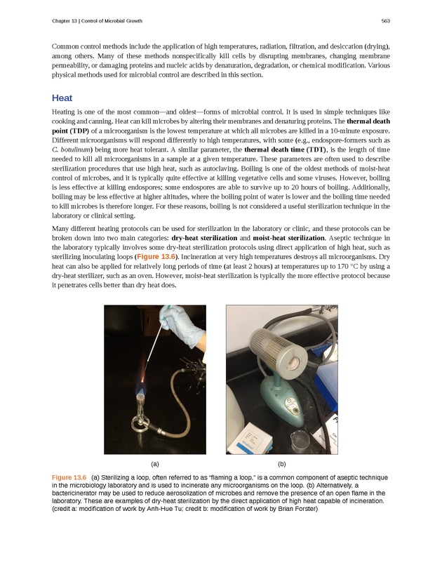 Microbiology - Front Matter 573