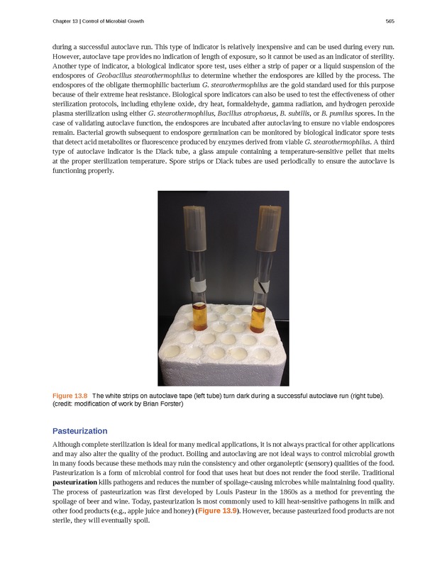 Microbiology - Front Matter 575