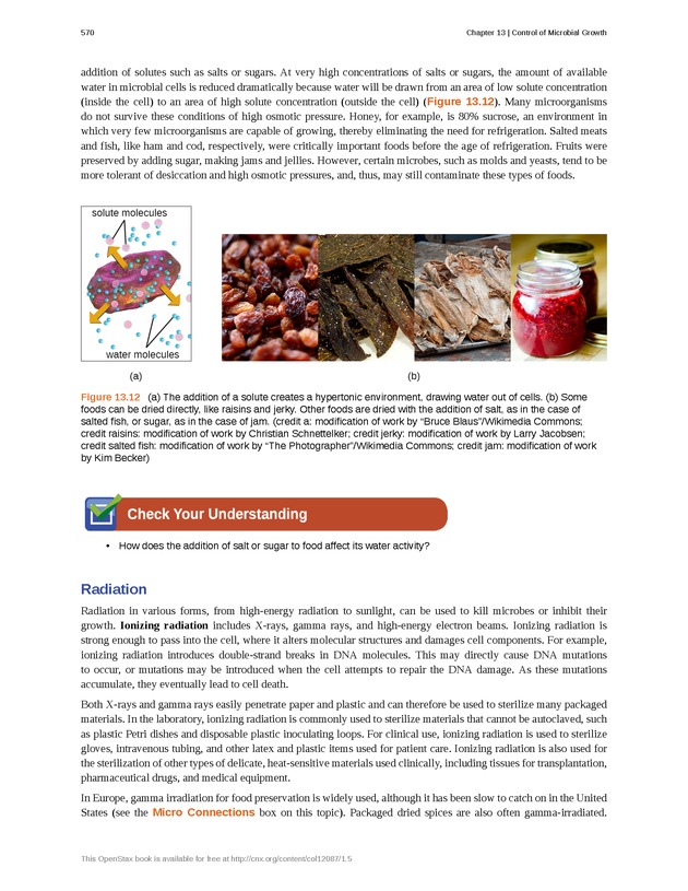 Microbiology - Front Matter 580