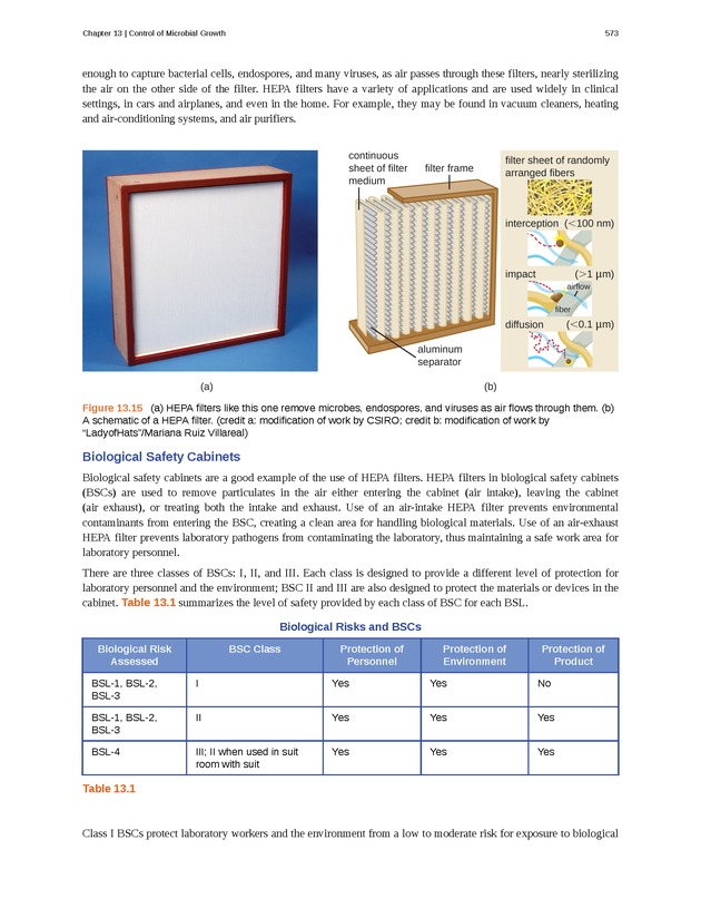 Microbiology - Front Matter 583