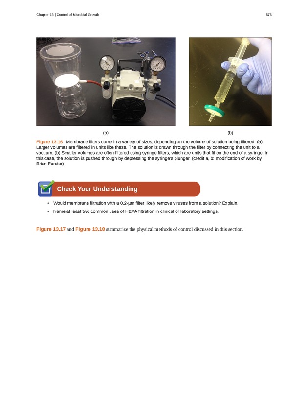 Microbiology - Front Matter 585
