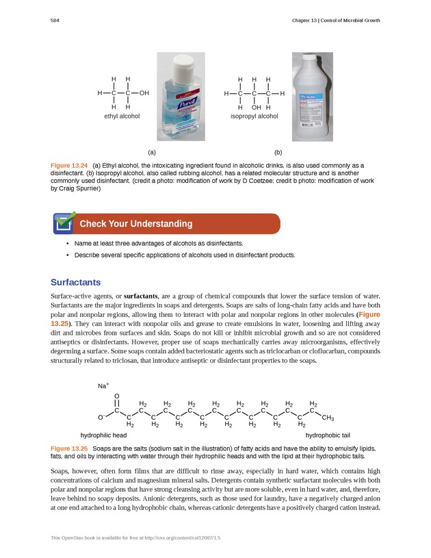 Microbiology - Front Matter 594