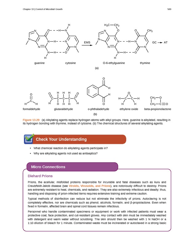 Microbiology - Front Matter 599