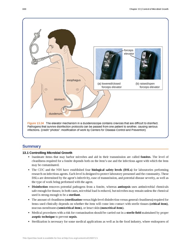 Microbiology - Front Matter 610