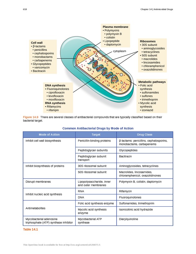 Microbiology - Front Matter 628