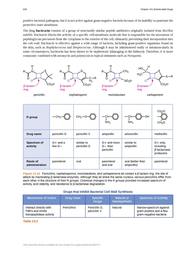 Microbiology - Front Matter 630