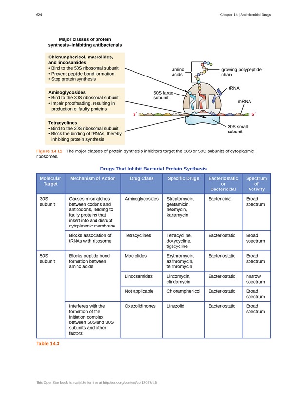 Microbiology - Front Matter 634