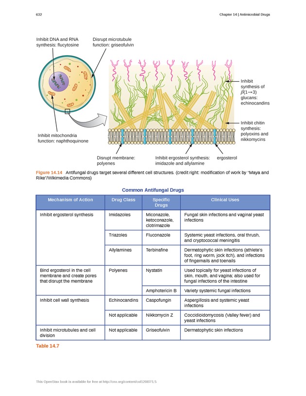 Microbiology - Front Matter 642