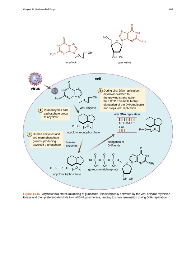 Microbiology - Front Matter 649