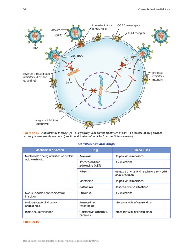 Microbiology - Front Matter 650