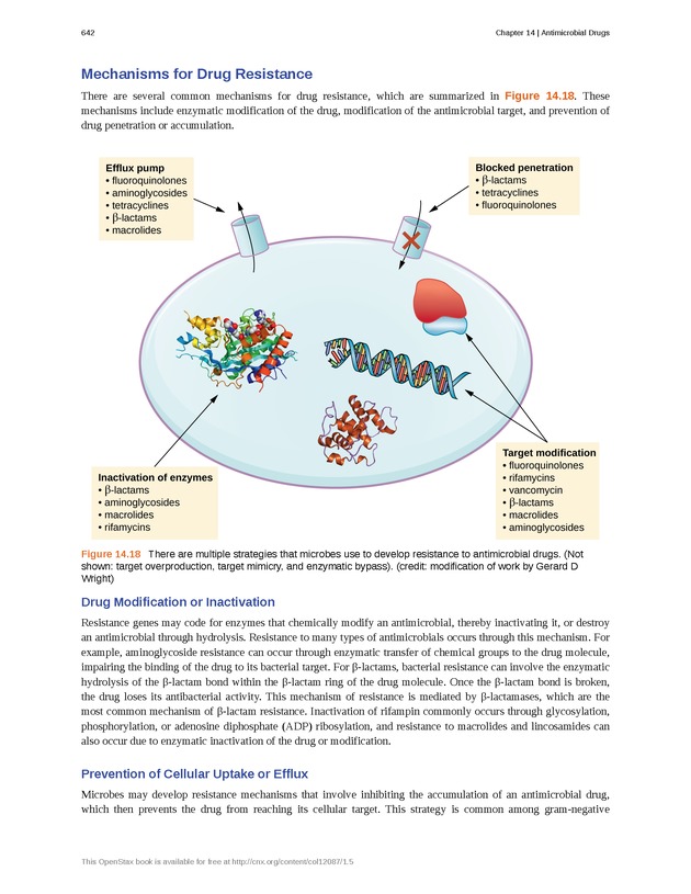 Microbiology - Front Matter 652