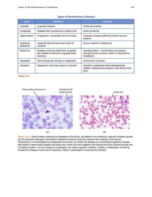 Microbiology - Front Matter 675